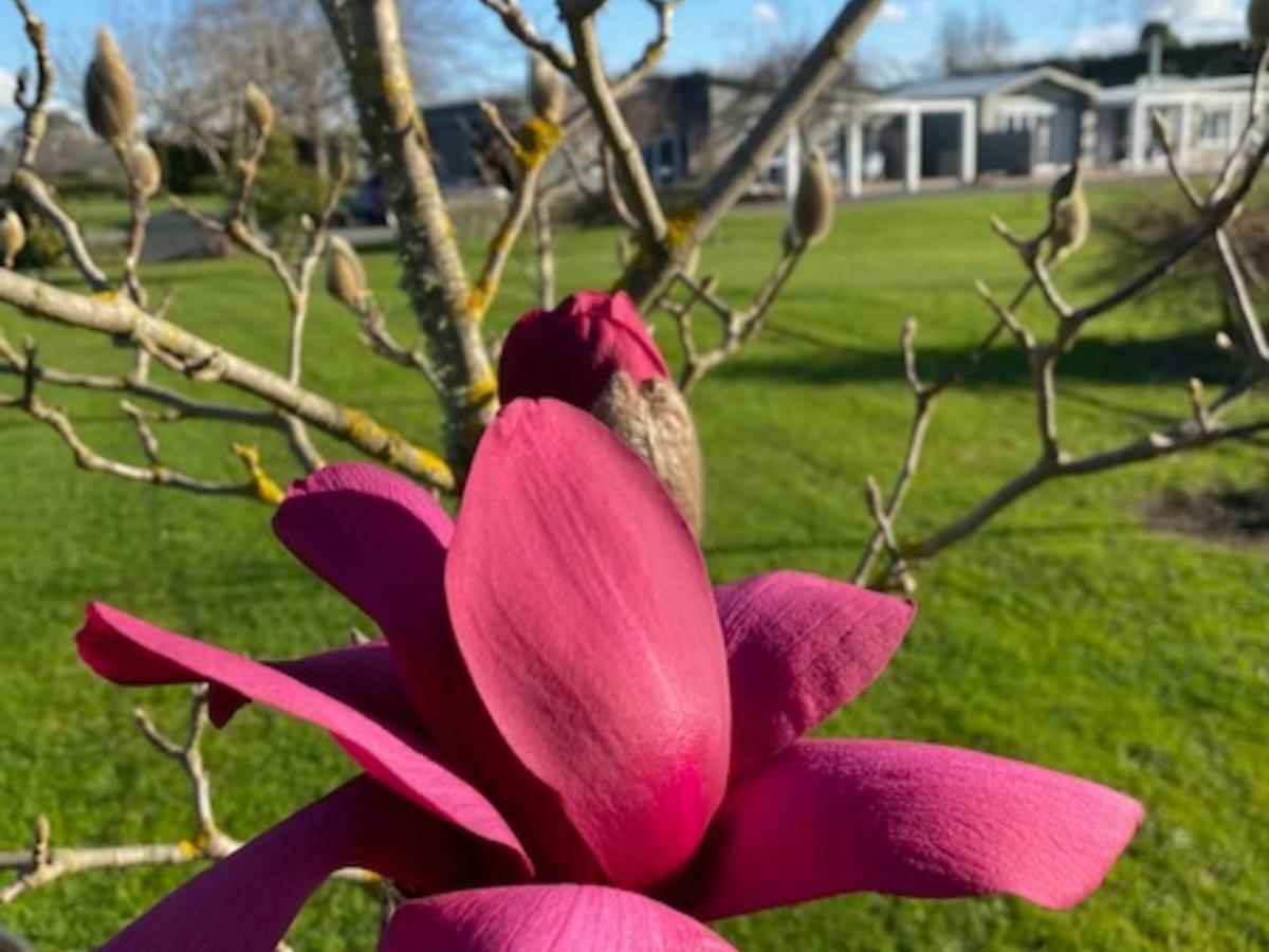 Amuri Villas Clive Eksteriør bilde